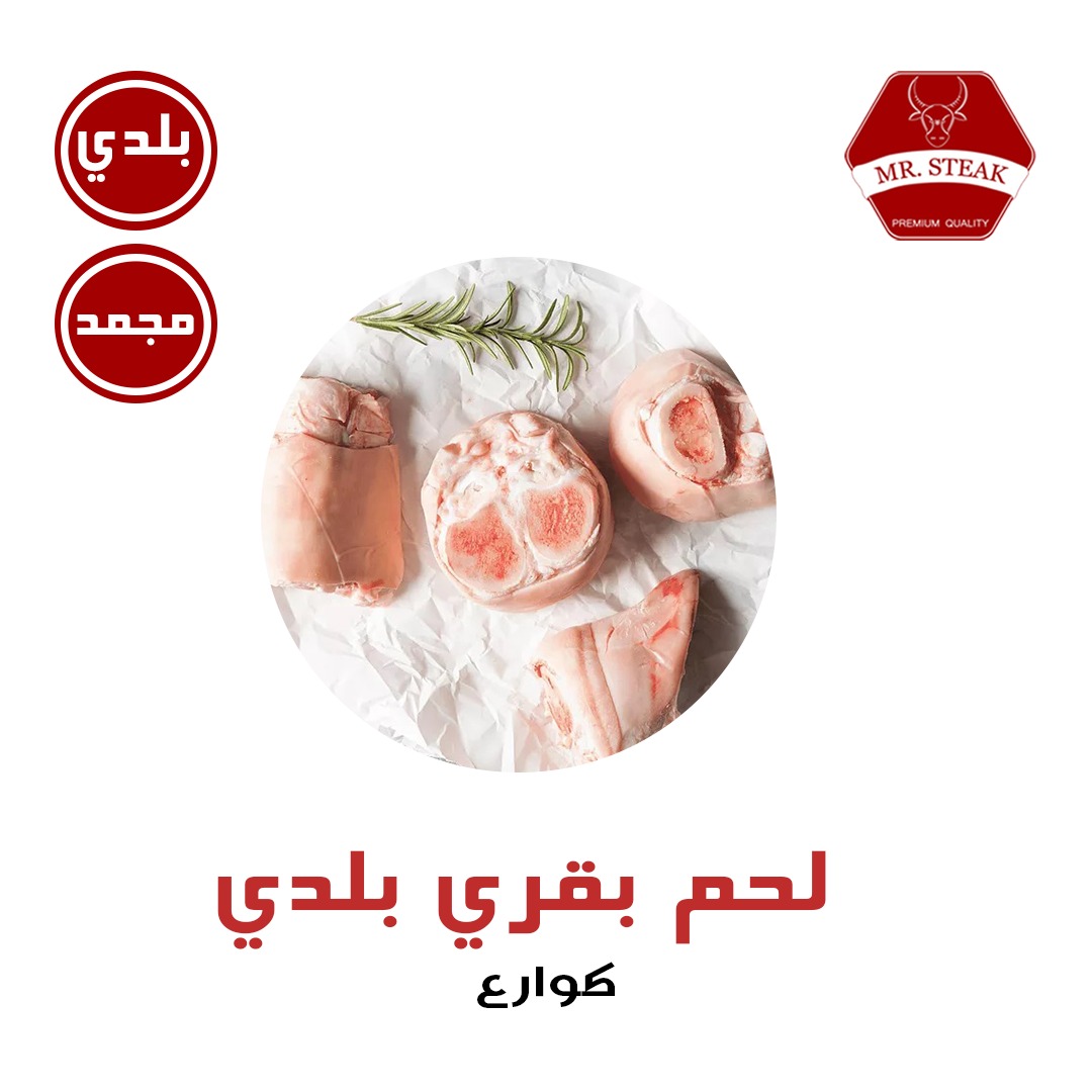 WhatsApp Image 2025-11-15 at 10.55.09 AM (3)