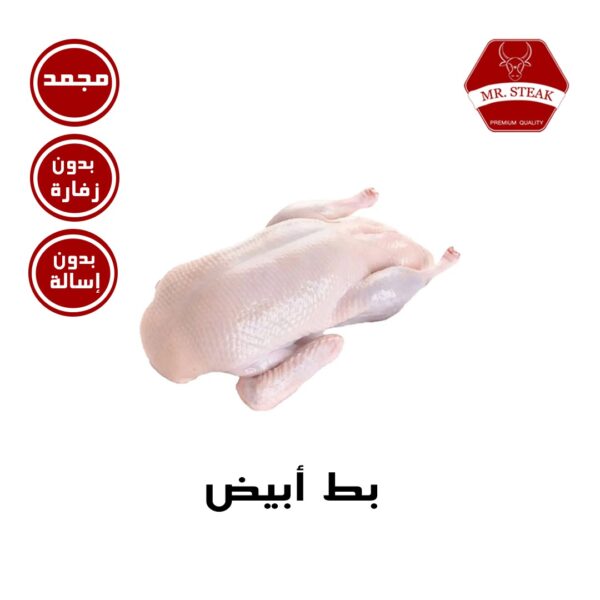 بط أبيض